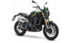 Rent Benelli Leoncino 800 trail (2024) 
